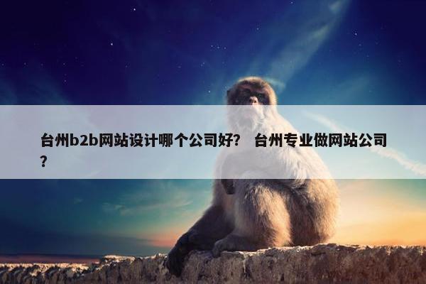 台州b2b网站设计哪个公司好？ 台州专业做网站公司？