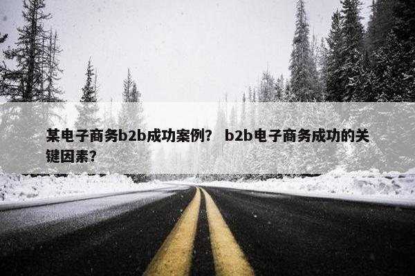 某电子商务b2b成功案例？ b2b电子商务成功的关键因素？