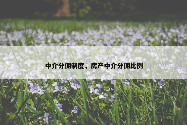 中介分佣制度，房产中介分佣比例