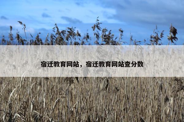 宿迁教育网站，宿迁教育网站查分数