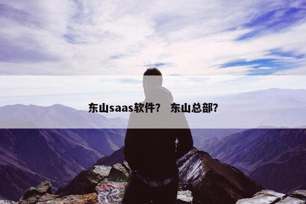 东山saas软件？ 东山总部？