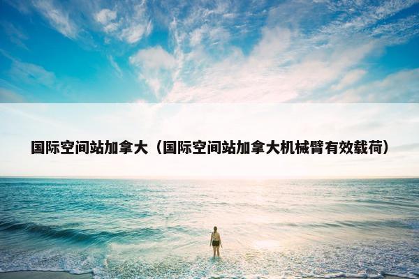 国际空间站加拿大（国际空间站加拿大机械臂有效载荷）