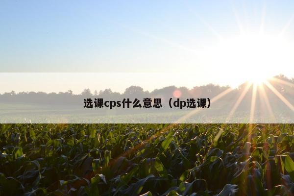 选课cps什么意思（dp选课）