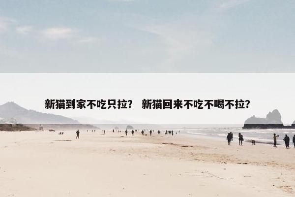 新猫到家不吃只拉？ 新猫回来不吃不喝不拉？
