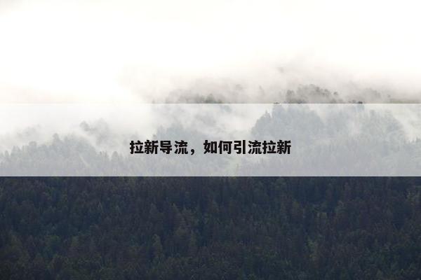 拉新导流，如何引流拉新