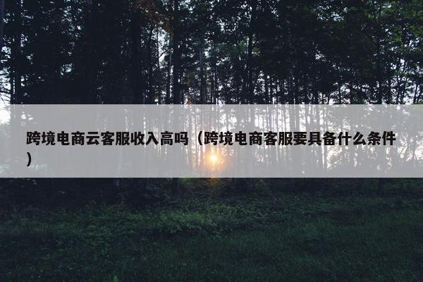 跨境电商云客服收入高吗（跨境电商客服要具备什么条件）