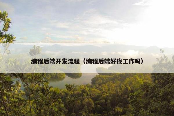编程后端开发流程（编程后端好找工作吗）