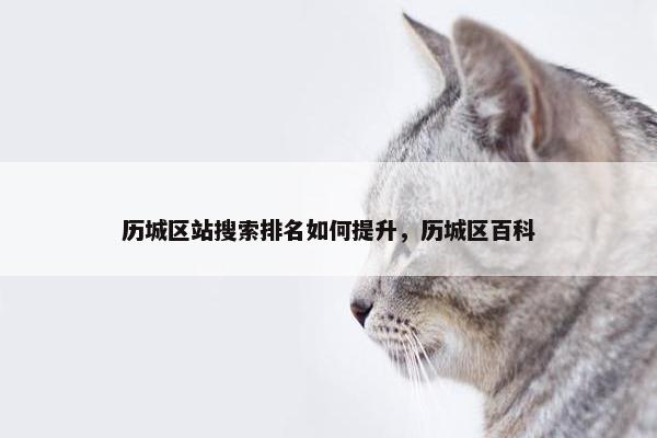 历城区站搜索排名如何提升，历城区百科