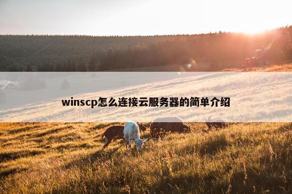 winscp怎么连接云服务器的简单介绍