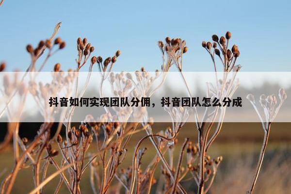 抖音如何实现团队分佣，抖音团队怎么分成