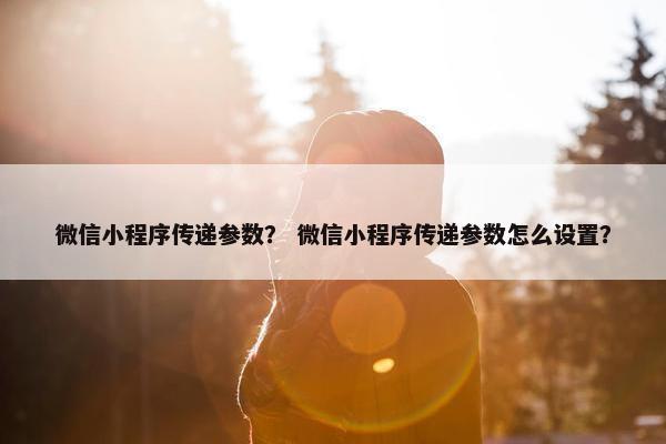 微信小程序传递参数？ 微信小程序传递参数怎么设置？