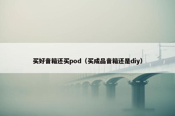 买好音箱还买pod（买成品音箱还是diy）