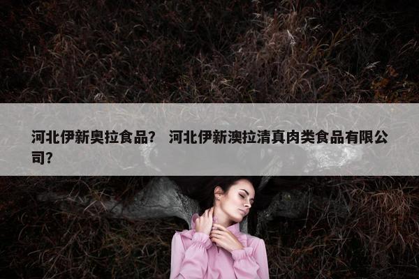 河北伊新奥拉食品？ 河北伊新澳拉清真肉类食品有限公司？