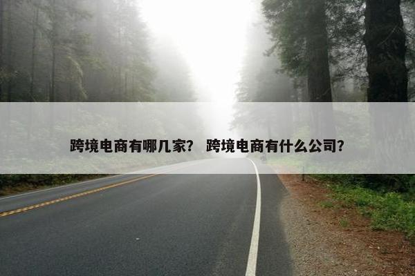 跨境电商有哪几家？ 跨境电商有什么公司？