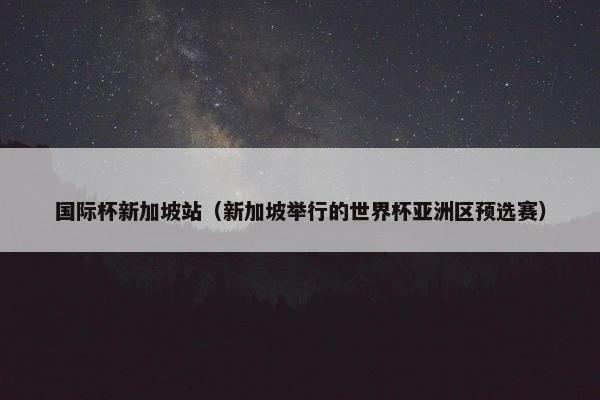 国际杯新加坡站（新加坡举行的世界杯亚洲区预选赛）
