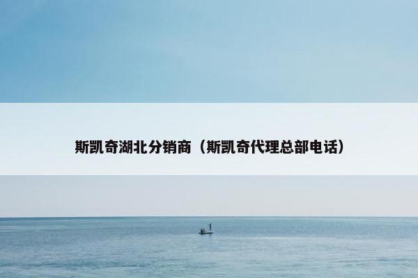 斯凯奇湖北分销商（斯凯奇代理总部电话）