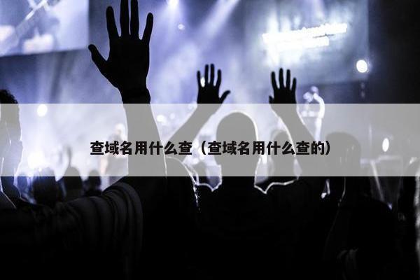 查域名用什么查（查域名用什么查的）