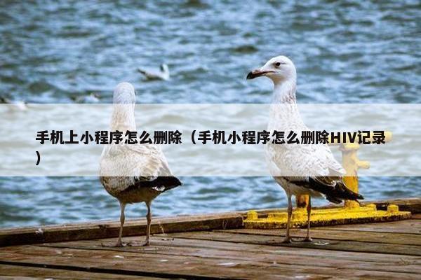 手机上小程序怎么删除（手机小程序怎么删除HIV记录）