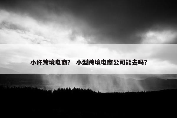 小许跨境电商？ 小型跨境电商公司能去吗？