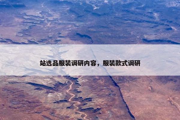 站选品服装调研内容，服装款式调研