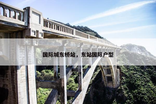 国际城东桥站，东站国际户型