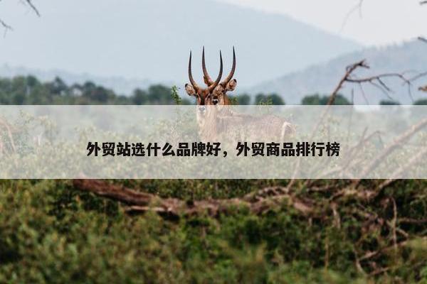 外贸站选什么品牌好，外贸商品排行榜