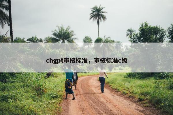 chgpt审核标准，审核标准c级