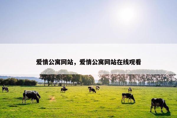 爱情公寓网站，爱情公寓网站在线观看