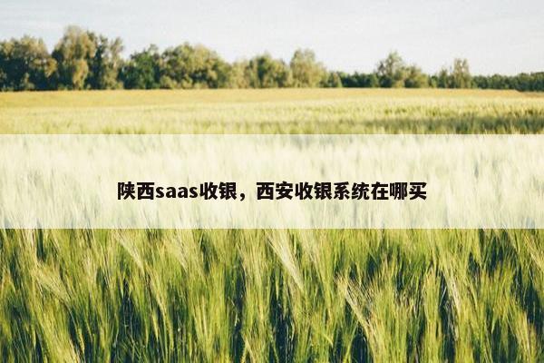 陕西saas收银，西安收银系统在哪买