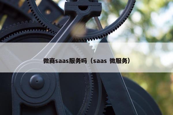 微商saas服务吗（saas 微服务）