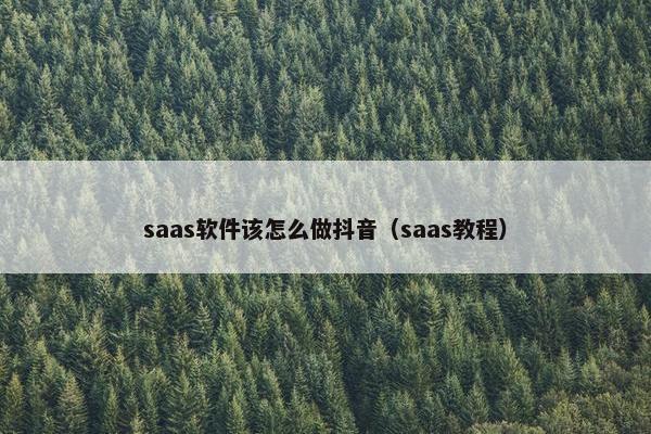 saas软件该怎么做抖音（saas教程）