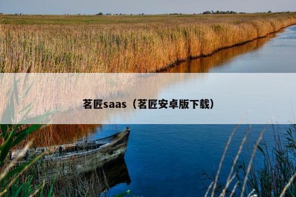 茗匠saas（茗匠安卓版下载）