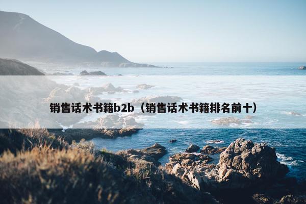 销售话术书籍b2b（销售话术书籍排名前十）