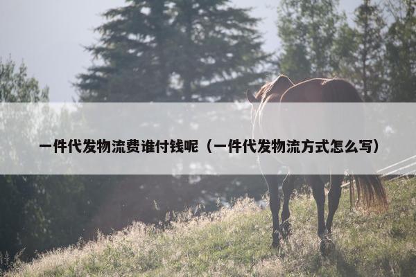 一件代发物流费谁付钱呢（一件代发物流方式怎么写）
