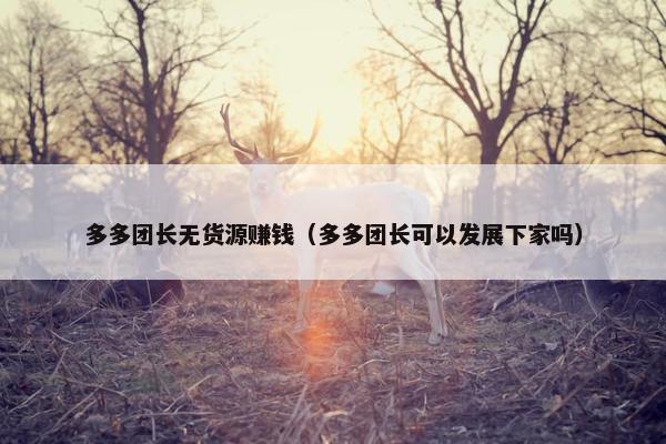 多多团长无货源赚钱（多多团长可以发展下家吗）