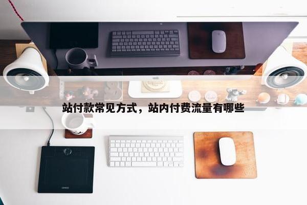站付款常见方式，站内付费流量有哪些