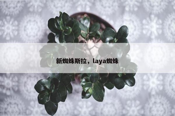 新蜘蛛斯拉，laya蜘蛛