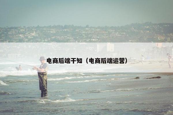 电商后端干知（电商后端运营）