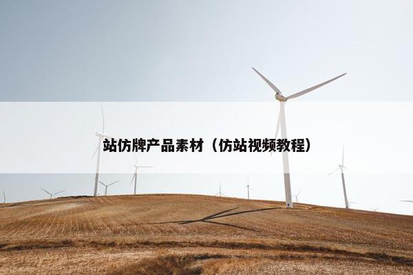 站仿牌产品素材（仿站视频教程）