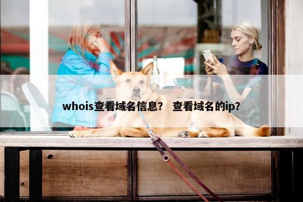 whois查看域名信息？ 查看域名的ip？