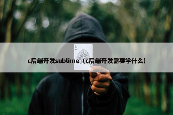 c后端开发sublime（c后端开发需要学什么）