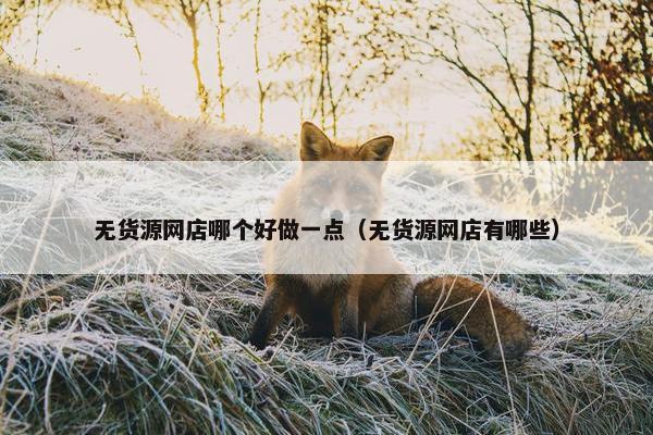 无货源网店哪个好做一点（无货源网店有哪些）