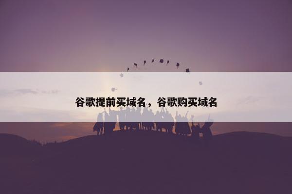 谷歌提前买域名，谷歌购买域名