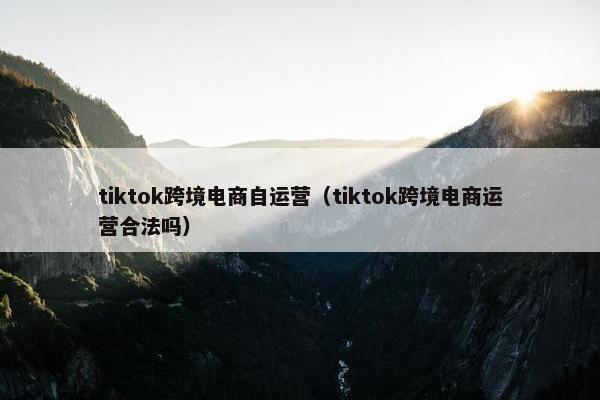 tiktok跨境电商自运营（tiktok跨境电商运营合法吗）