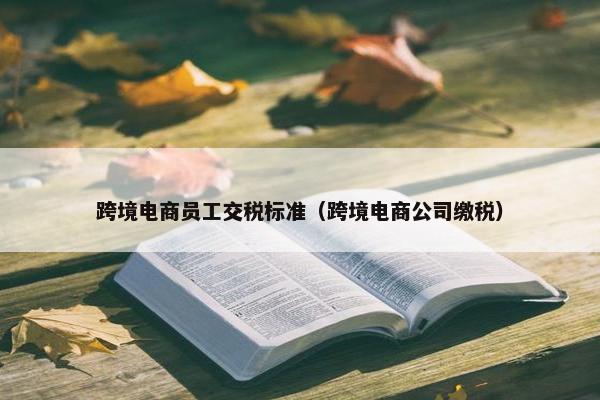 跨境电商员工交税标准（跨境电商公司缴税）