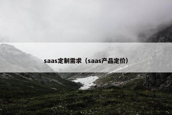 saas定制需求（saas产品定价）