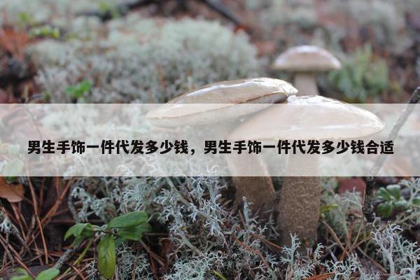 男生手饰一件代发多少钱，男生手饰一件代发多少钱合适