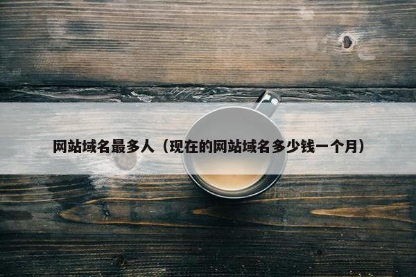 网站域名最多人（现在的网站域名多少钱一个月）