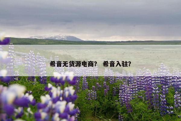 希音无货源电商？ 希音入驻？