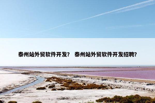 泰州站外贸软件开发？ 泰州站外贸软件开发招聘？